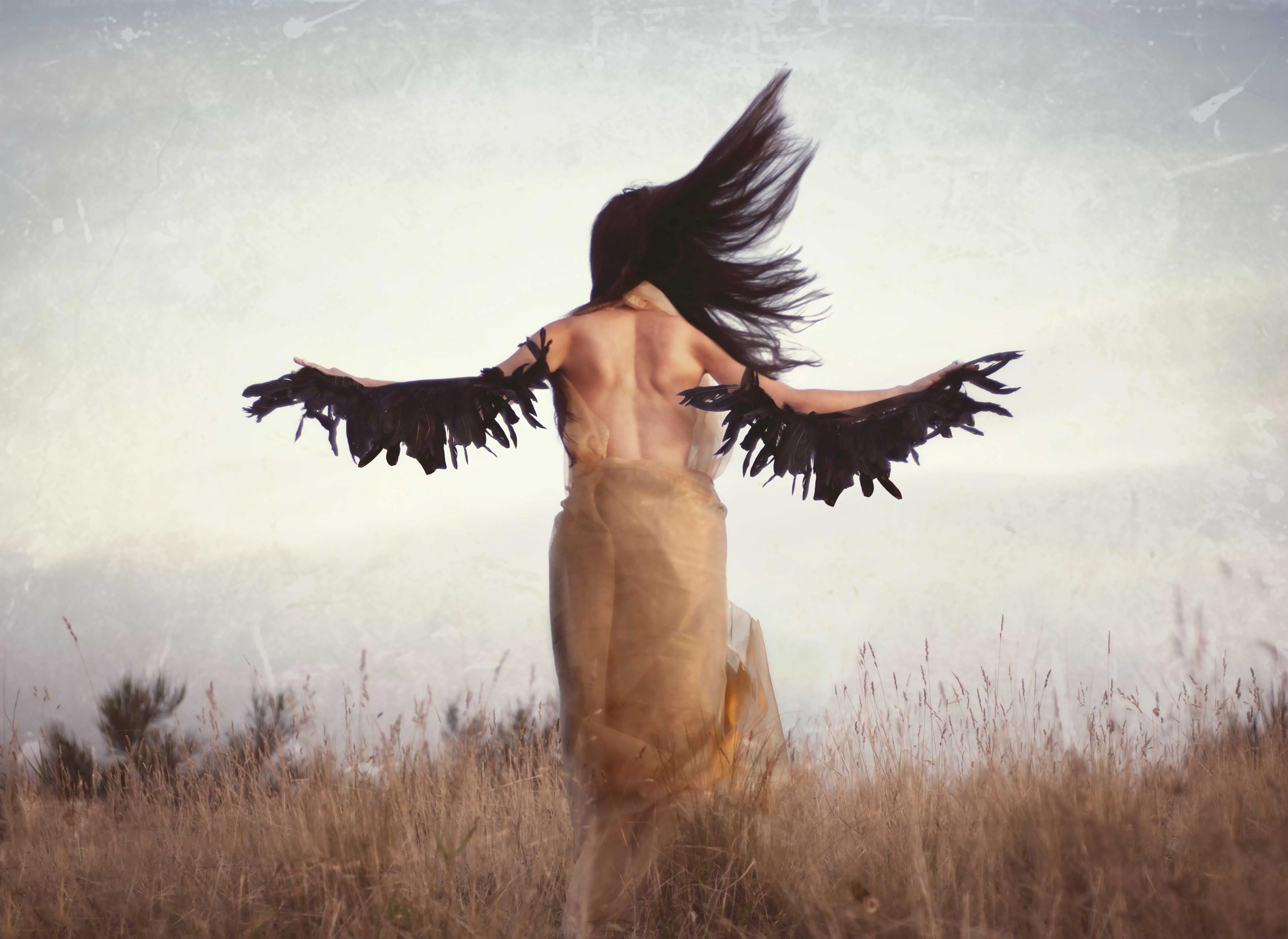 Wings  Eyes of Silva Photography 2026