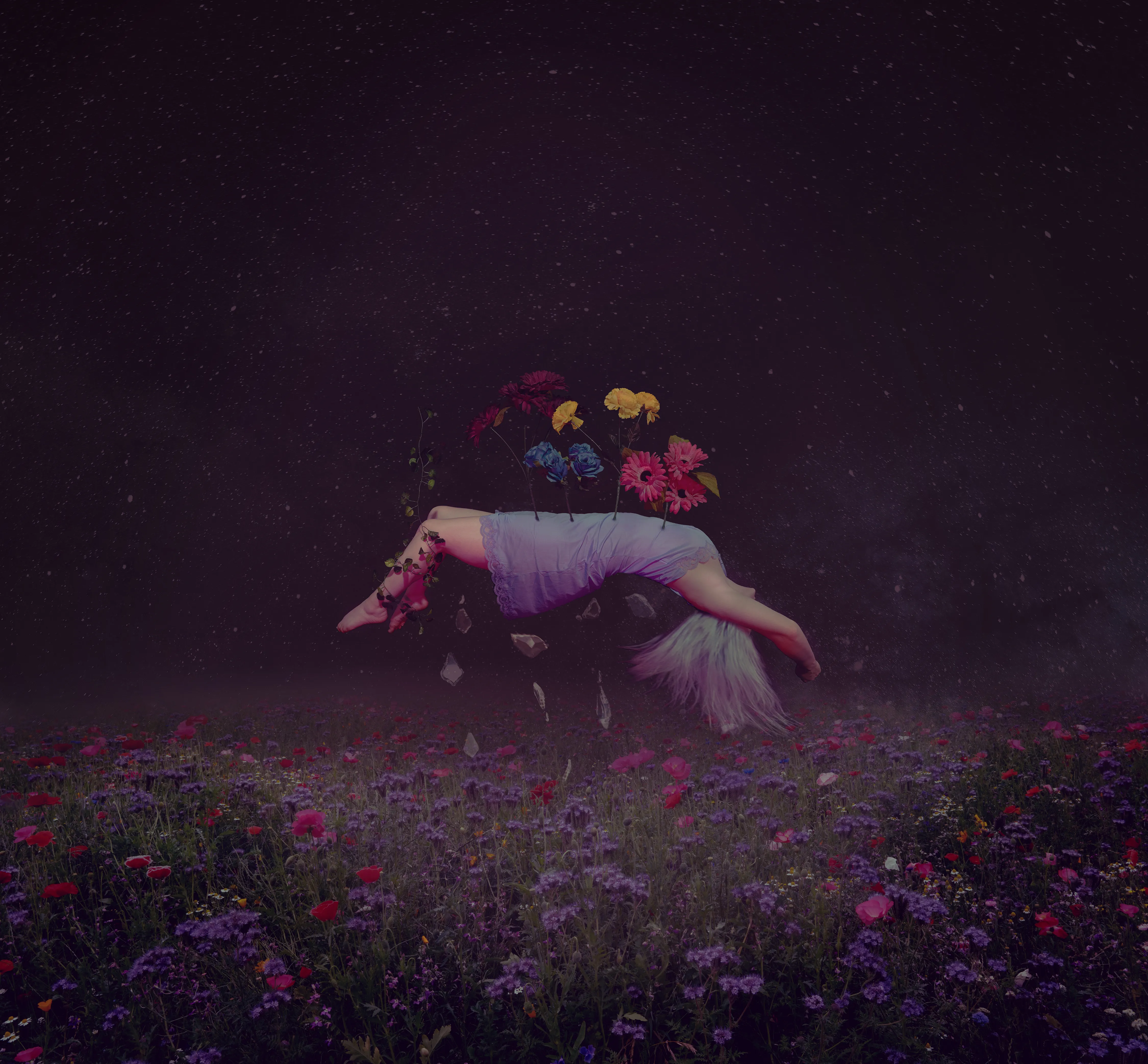 bloom01